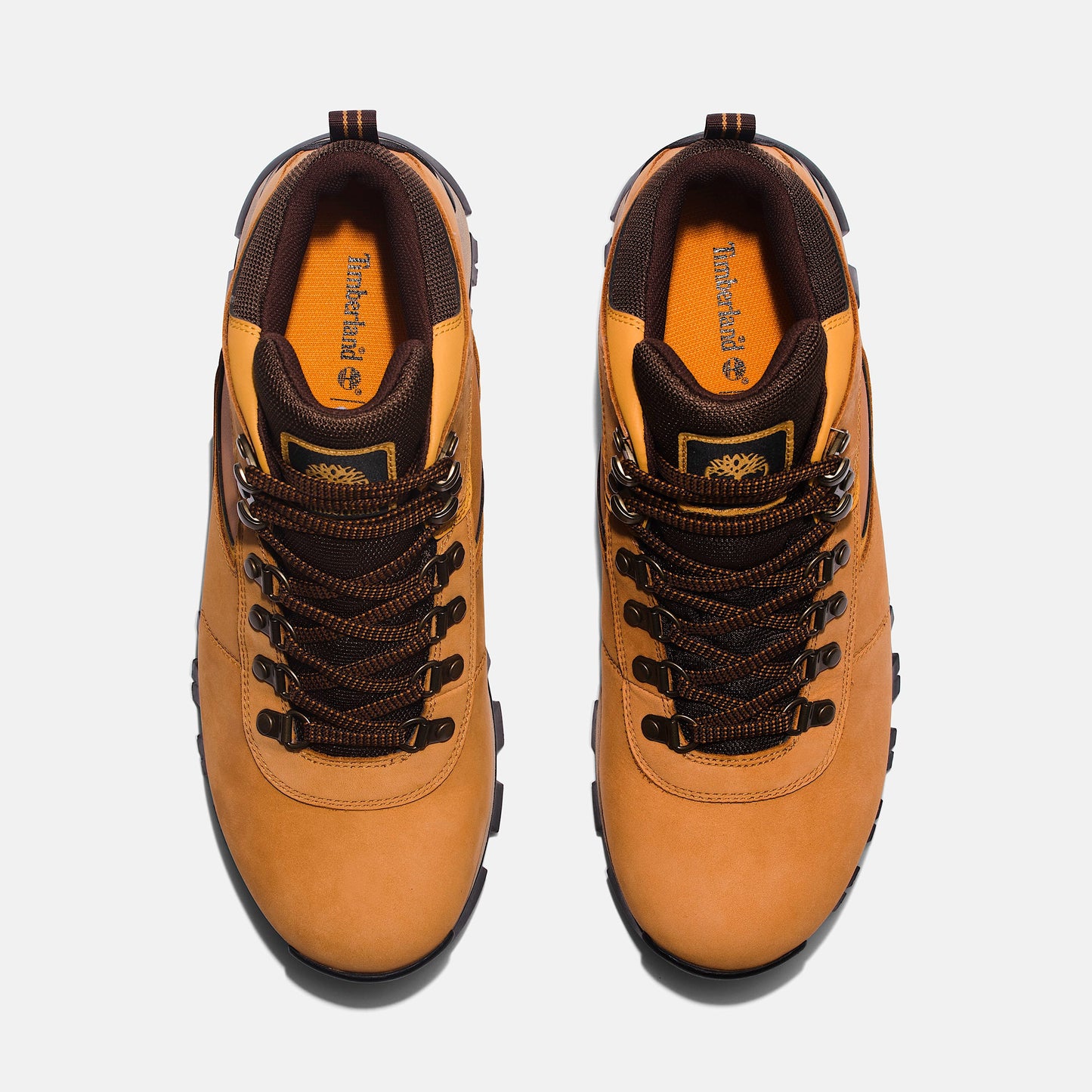 Men's Mt. Maddsen Waterproof Hiking Boot